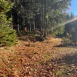 Maerchenland Guest house Altenberg