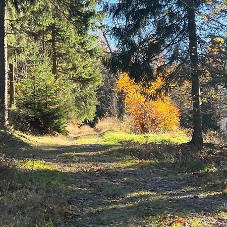 Maerchenland * Altenberg
