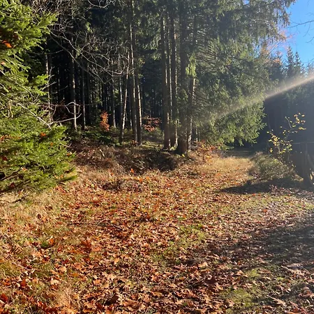 Maerchenland Pensión Altenberg (Montes Metalíferos)