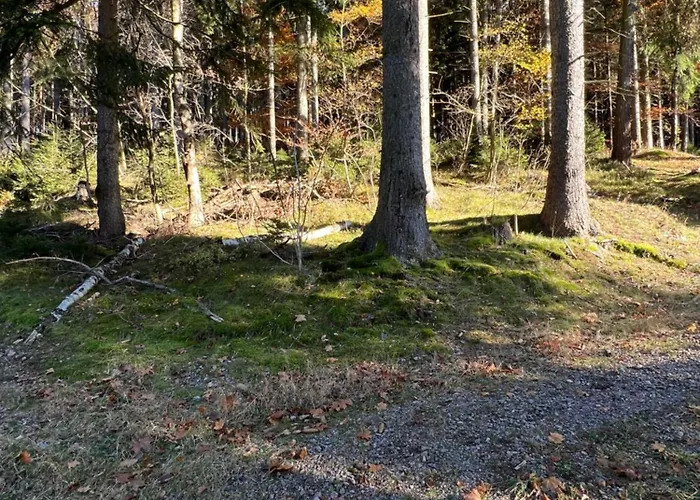 Maerchenland Altenberg (Montes Metalíferos)