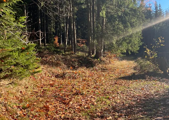 Maerchenland Pensión Altenberg (Montes Metalíferos)